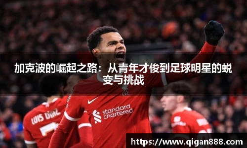 哈哈体育官网